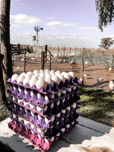 Huevos Blancos Grandes Nª1 - CAJON